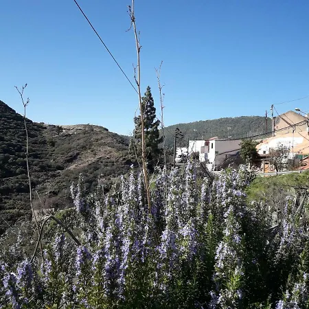 컨트리하우스 Casa Cueva Juncalillo Garden *