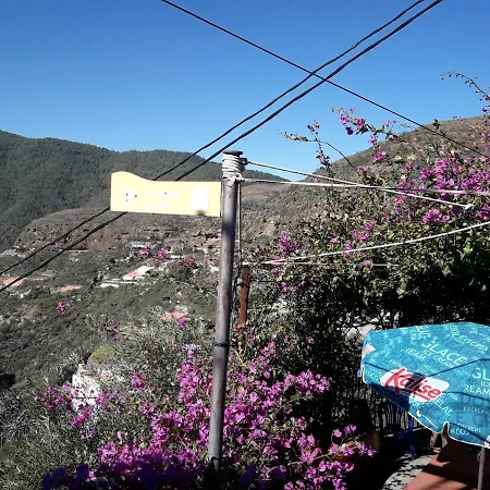 컨트리하우스 Casa Cueva Juncalillo Garden