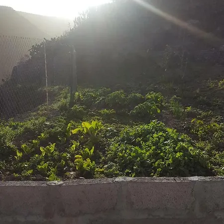 Casa Cueva Juncalillo Garden 컨트리하우스